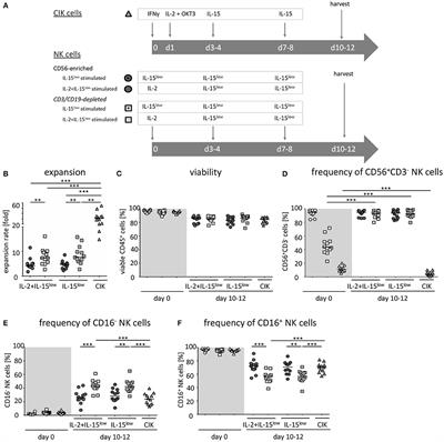 The Synergistic Use of IL-15 and IL-21 for the Generation of NK Cells From CD3/CD19-Depleted Grafts Improves Their ex vivo Expansion and Cytotoxic Potential Against Neuroblastoma: Perspective for Optimized Immunotherapy Post Haploidentical Stem Cell Transplantation